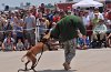 K-9 DSC_7869.jpg